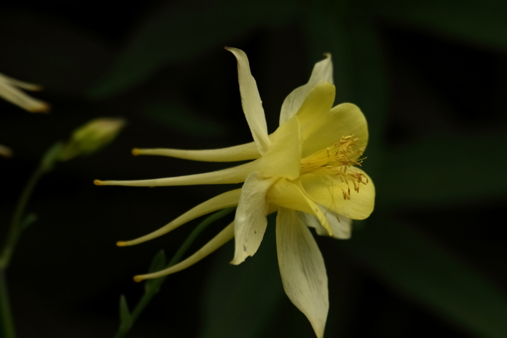 2013 06 09 IMG 09740